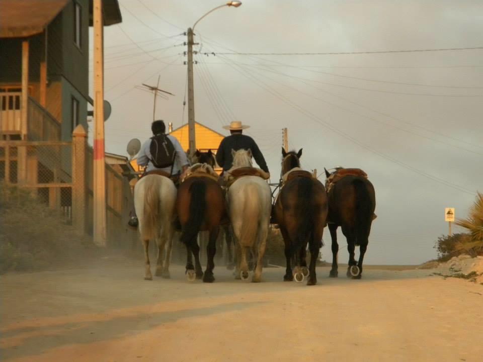 Cáhuil Cabanas Don Dago מראה חיצוני תמונה
