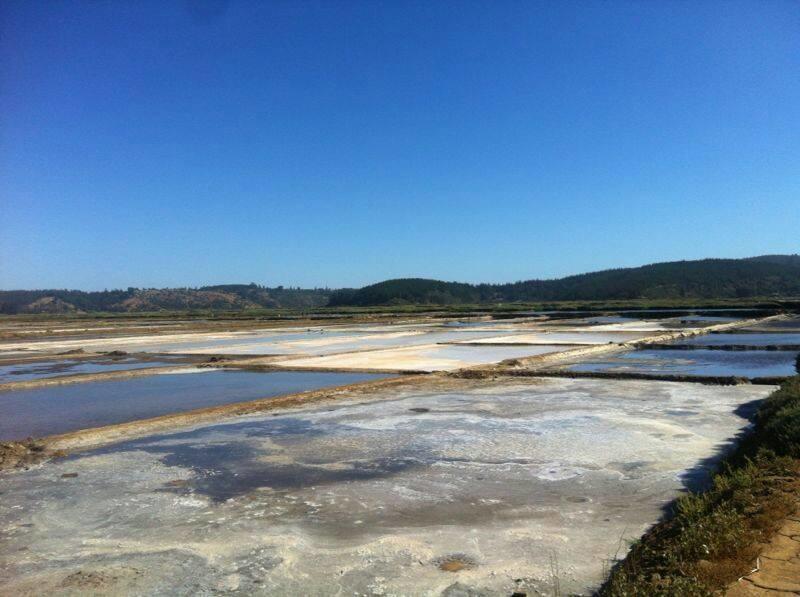 Cáhuil Cabanas Don Dago מראה חיצוני תמונה